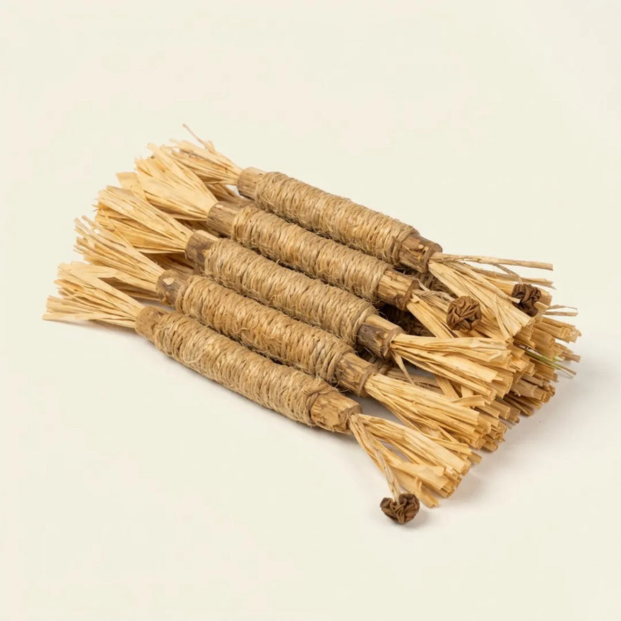 Matatabi-Zahnsticks